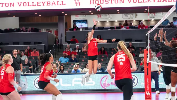 Alyssa Gonzales hit