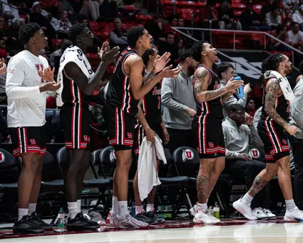 Team, Huddle, Bench, Cheer, Celebrate