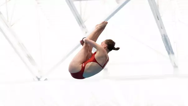 Junior Michelle McLeod diving off the platform at Big 12 Chapmpionships