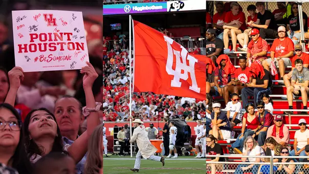 Volleyball fan, football flag runner, soccer fans