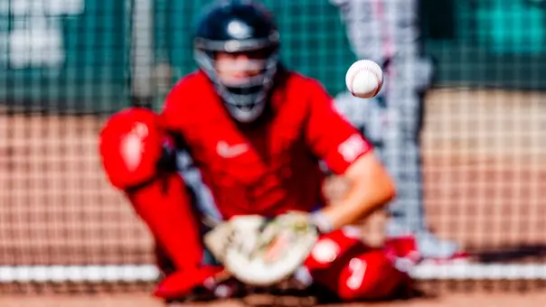 Baseball in flight to catcher