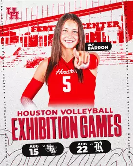 VB exhibition graphic