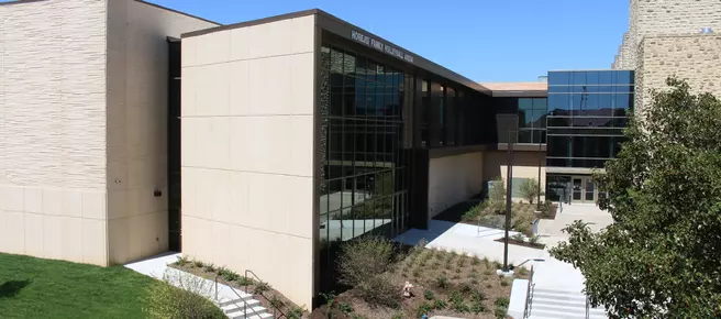 Volleyball Fan Guide