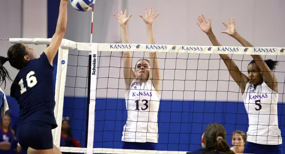 Jayhawks Sweep North Texas in Arkansas Volleyball Tournament Opener Image
