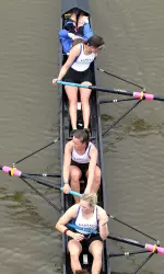 Kansas Races Kansas State in Sunflower Showdown Image