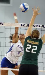 KU Sweeps Baylor at Horejsi Image