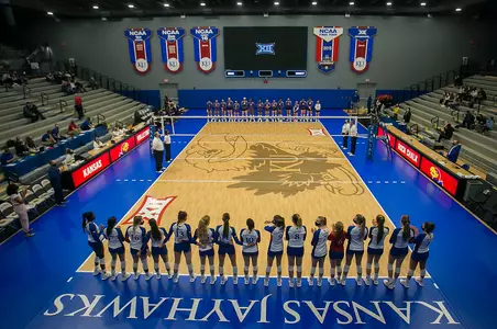 Volleyball Adds Tori Miller to Staff Image