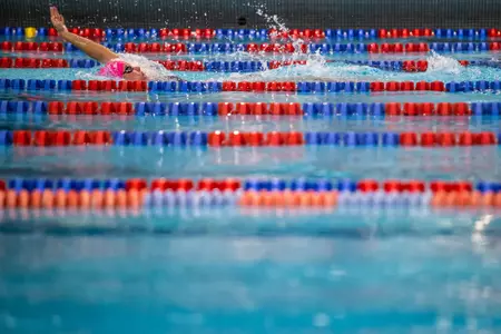 Jayhawks Sweep Big 12 Swimming & Diving Weekly Awards Image