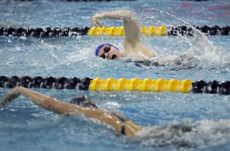 Jayhawks Set for at Dual at Arkansas Image