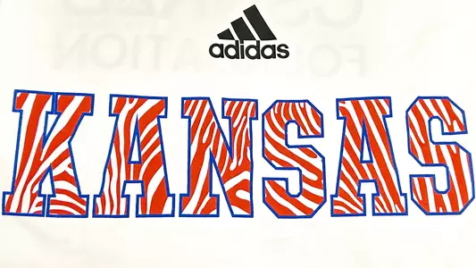 Kansas Baseball to Host Rare Disease Game on Saturday Image