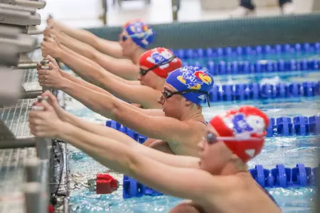 KU Swim & Dive Goes Virtual with Fall Competitions Image