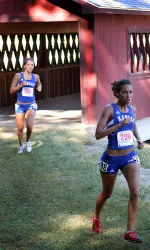 Kansas Splits Sunflower Showdown Image