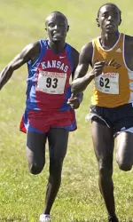 Men Have Strong Finish at Roy Griak Invitational Image