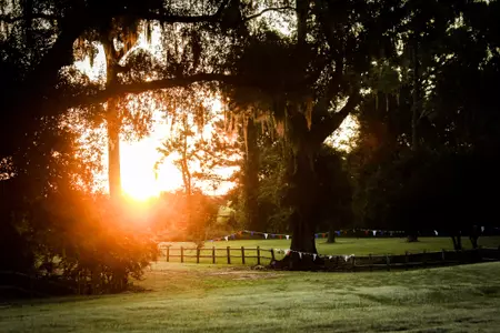 Jayhawks Close Out Regular Season at Competitive Pre-National Invitational Image