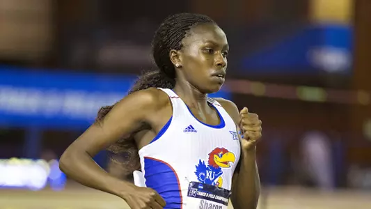 Lokedi sets school record at BU Season Opener Image