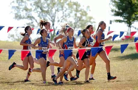 Morgan Concludes 2014 Cross Country Slate at NCAA Championships Image