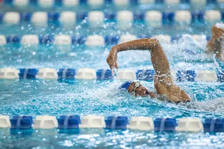 Kansas Sweeps the Competition in the 2022 Sunflower Showdown Image