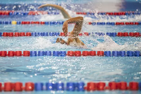 Lai Wins One-Meter Final, Jayhawks Conclude Day One of Mizzou Invite Image