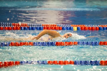 Kansas Set to Host Rockhurst for Saturday Action Image