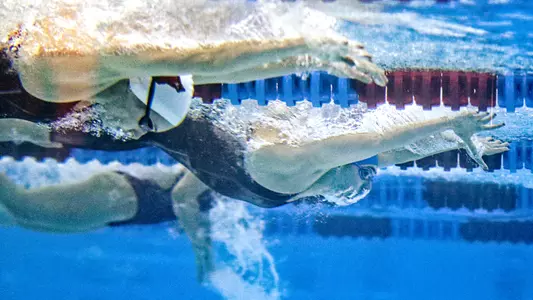 Jayhawks fall short against Arkansas Image