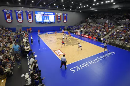 Kansas Volleyball Adds Four To 2021-22 Roster Image