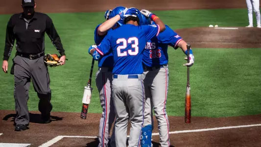 Baseball Celebration