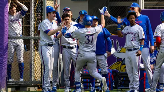 Baseball Bench Celebration