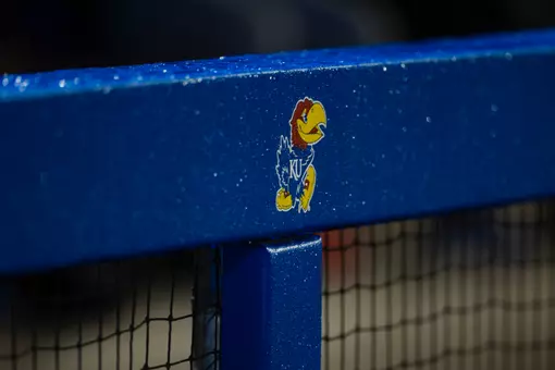 Wet Bird