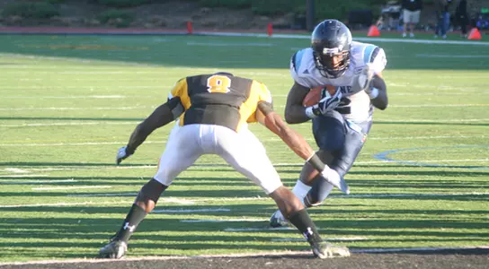 Football Defeats Towson, 28-18 Image