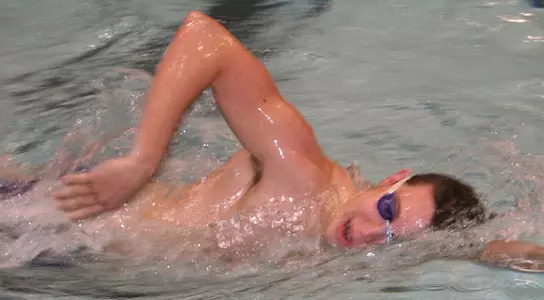 Black Bear Swimming and Diving Competes Against Keene State, Vermont Image