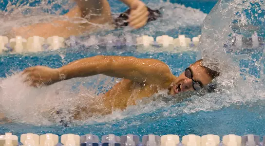 Swimming and Diving Sweep Bates Image