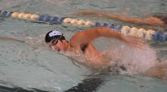 Men's Swimming Selected Fourth in America East; Women Selected Seventh Image