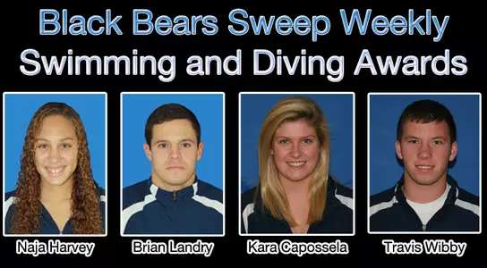 Black Bears Sweep Weekly Swimming and Diving Awards Image