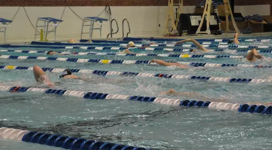 Swimming and Diving Announce Annual Awards Image