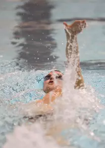 Brown Swimming Takes Two from Black Bears Image