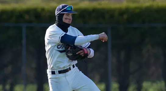Baseball Falls at Auburn Image