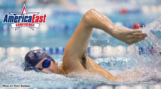 Maine to Host America East Swimming & Diving Championships Image