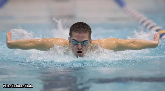 Black Bear Swimming & Diving Complete Day One of ECAC Championships Image