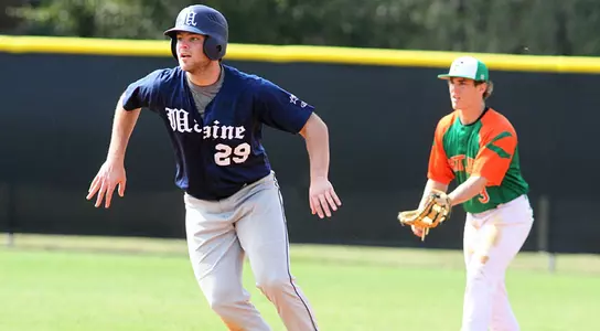 Baseball Falls At Florida Atlantic Image