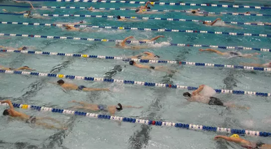 Swimming & Diving Announce Annual Awards Image