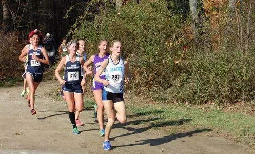 Wilson Leads Women's Cross Country at UMass Image