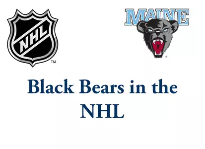 Black Bears in the NHL Image