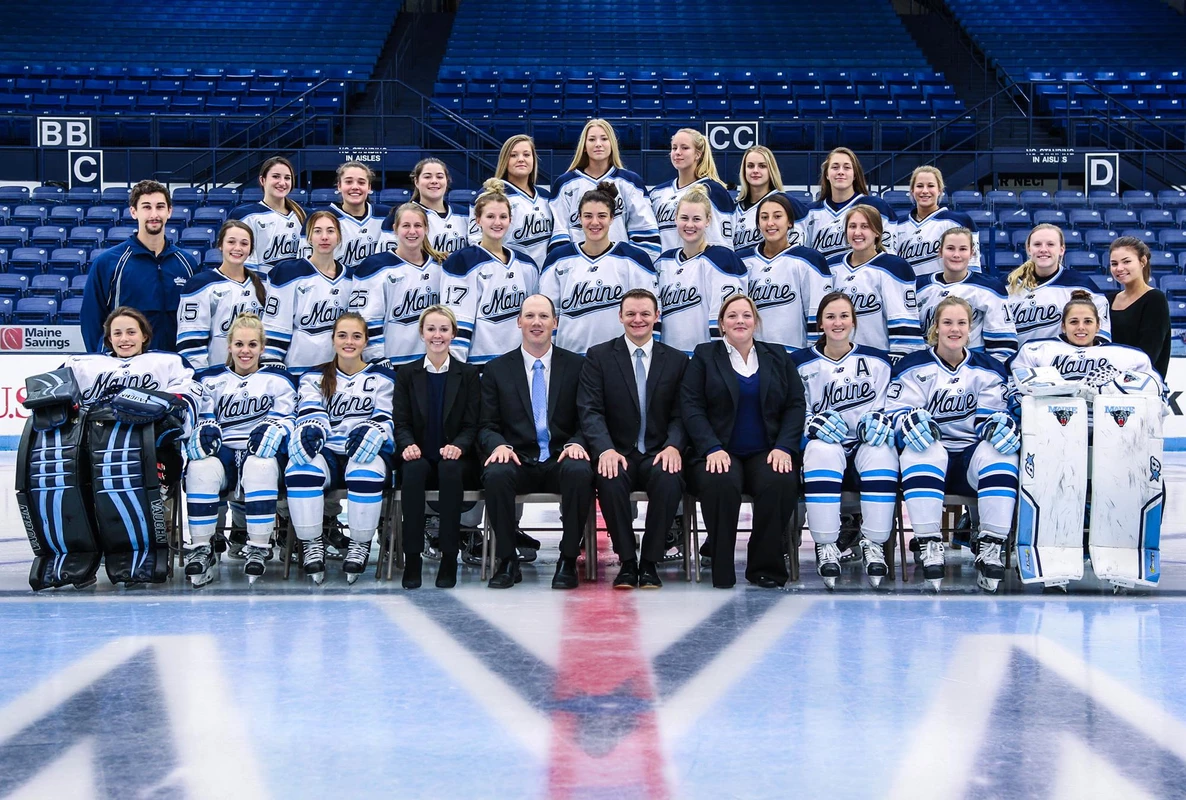 WIH Team Photo 2016-17