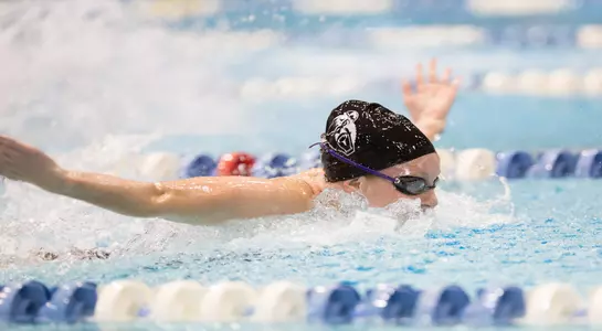 swim action 2