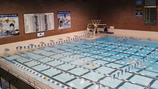 wallace pool new