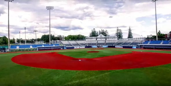 Mahaney_Diamond_Drone