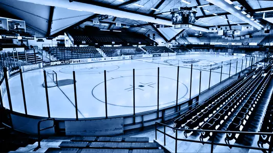 Alfond_Arena_Luminosity