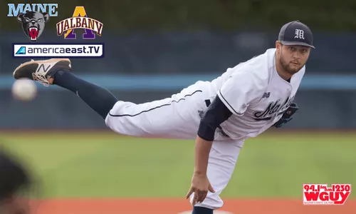 basealbanypreview