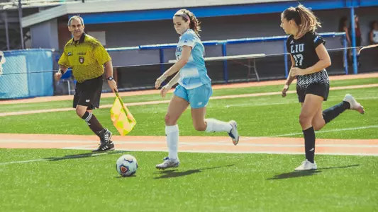 WSOC_Bamford_web