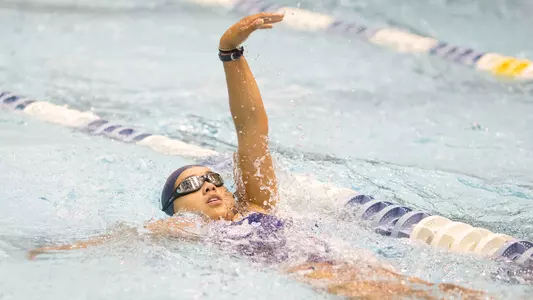 Maine Swimming and Diving
